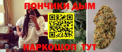 сатива Ярославль