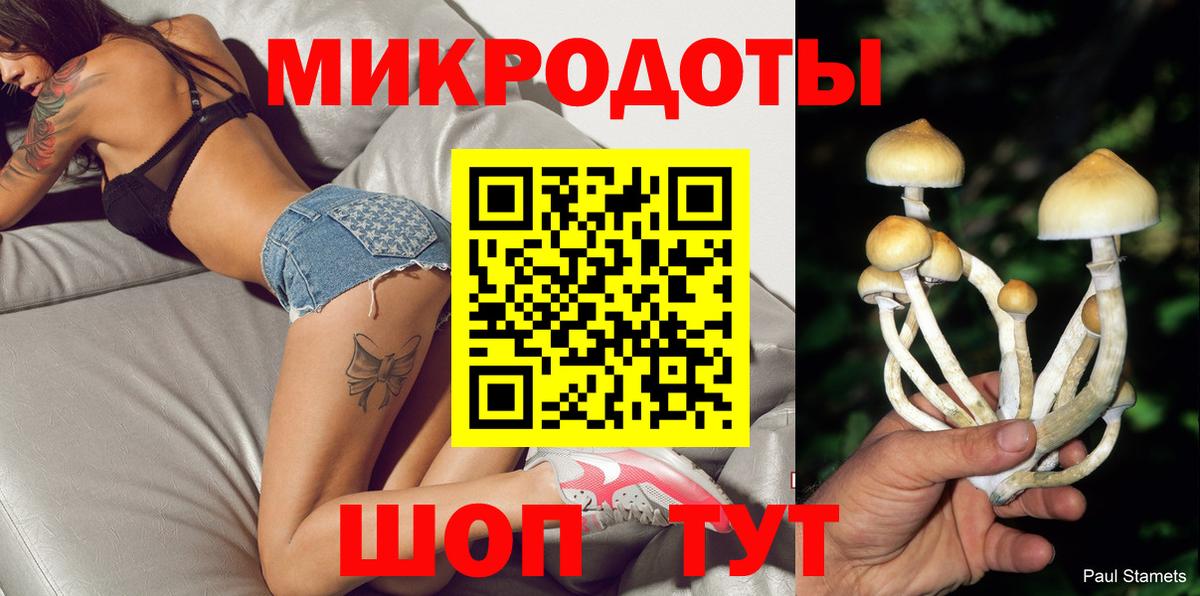 Псилоцибиновые грибы Psilocybine cubensis Новоуральск