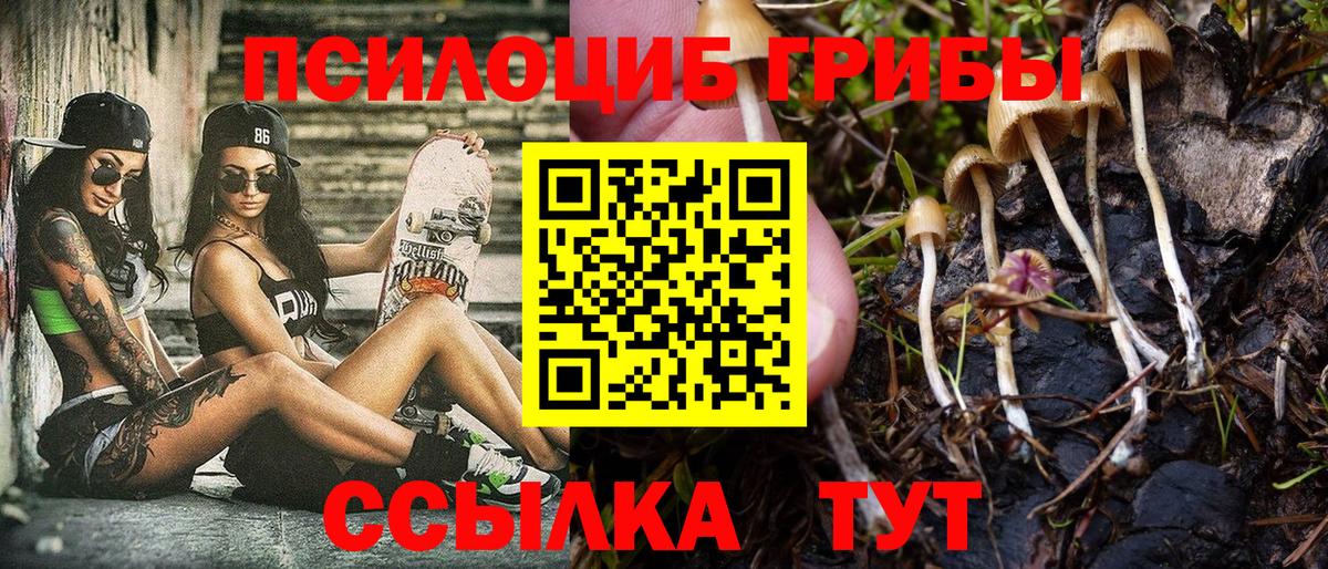 Галлюциногенные грибы MAGIC MUSHROOMS  Вход с VPN  Новоуральск 